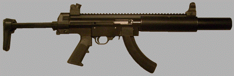 S2 .22LR semi-automatic non-restricted rifle